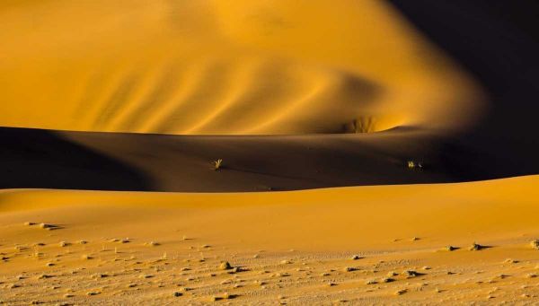Namibia, Namib-Naukluft NP Abstract of sand dune